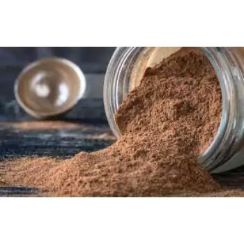 Chocolate Protein Powder