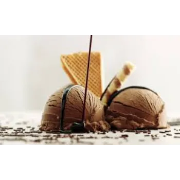 Fine Chocolate Ice Cream
