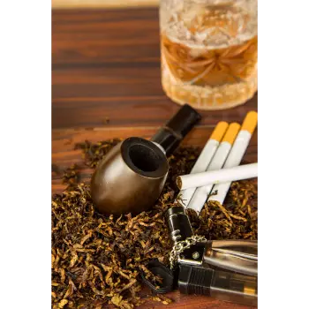 Cigar Smoking Pipe