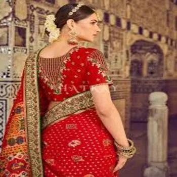 Modern Style Classic Embroidery Sarees