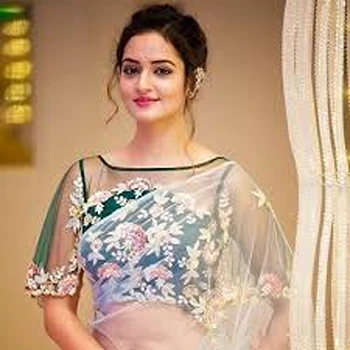 Good looking Classic Embroidery Saree