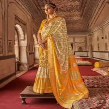 Modernized Classic Ladies Sarees