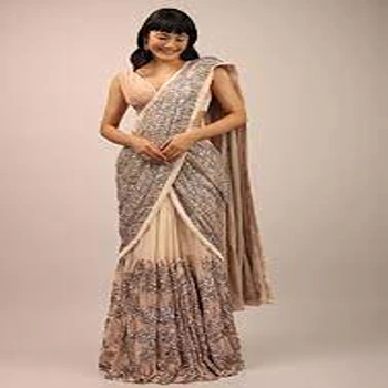 Traditional Classic Ladies Saree