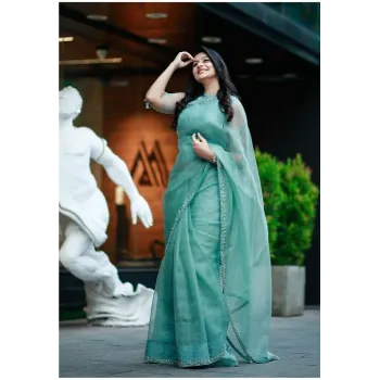 Classic Organza Sarees