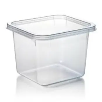 Clear Plastic Containers