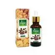 Clove Essential Oil Clove Essential Oil