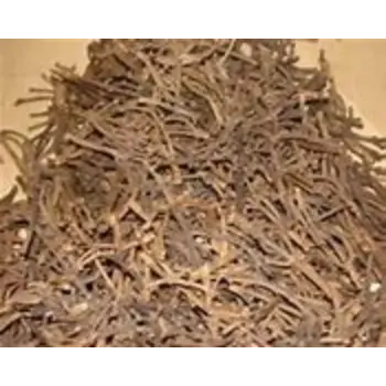 Natural Clove Stem