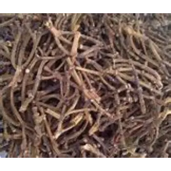 Clove Stem