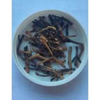 Qualitybest Clove Stem