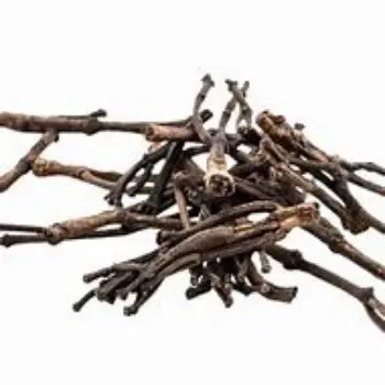 Organic Clove Stem