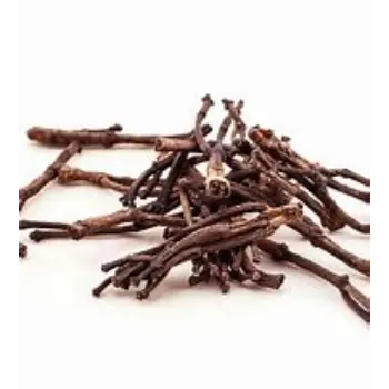 Clove Stem