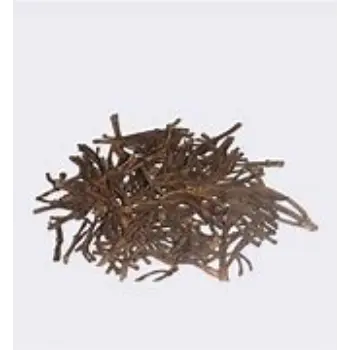 Clove Stem
