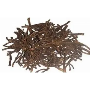 Natural Clove Stem