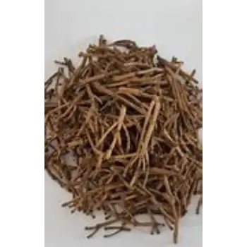 Clove Stem