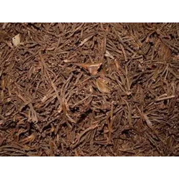 Clove Stem