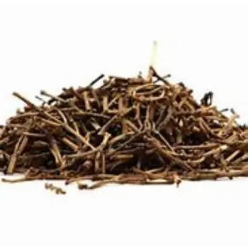 Clove Stem