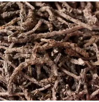 Natural Clove Stem