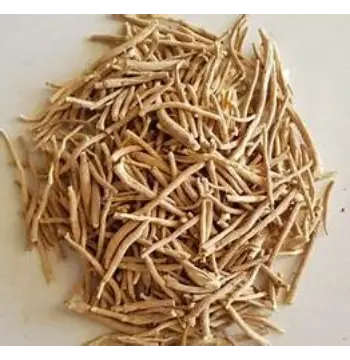 Fresh Clove Stem