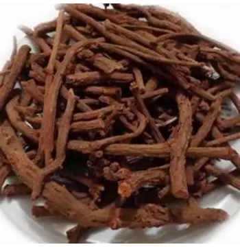 Fresh Clove Stem