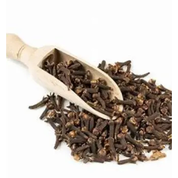 Clove Stem