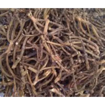 Clove Stem