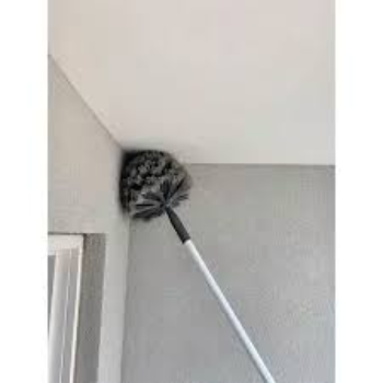 Cobweb Brush With Long Handle 