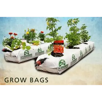 Plain Coco Peat Grow Bag