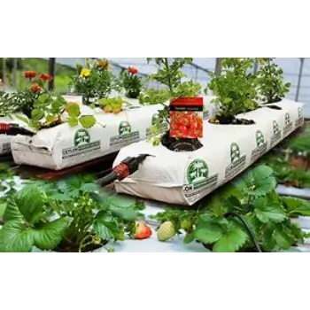 Coco Peat Grow Bag