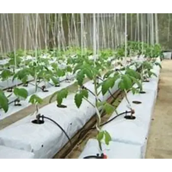 Plant Grow Bag - Latest Price, Manufacturers & Suppliers