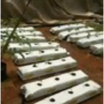 Coco Peat Grow Bag