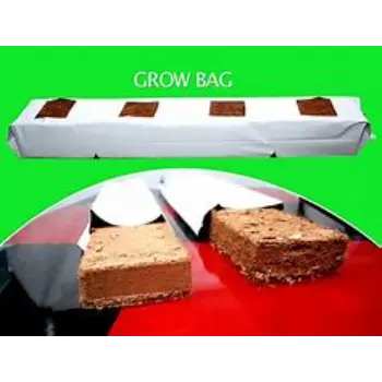 Multiple Coco Peat Grow Bag