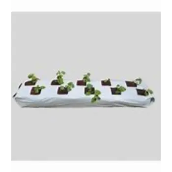 Coco Peat Grow Bag