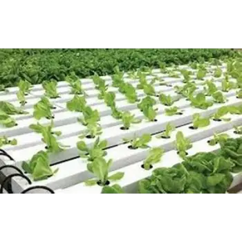 Various coco Peat Grow Bag