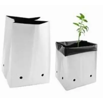Coco Peat Grow Bag