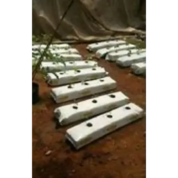 Coco Peat Grow Bag