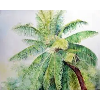 natural Coconut Plant
