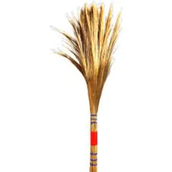 Sunrise Coconut Stick Broom