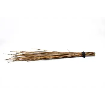 Coconut Stick Broom