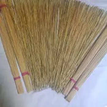 Sant Coconut Stick Broom