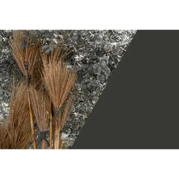 Good Coconut Stick Broom