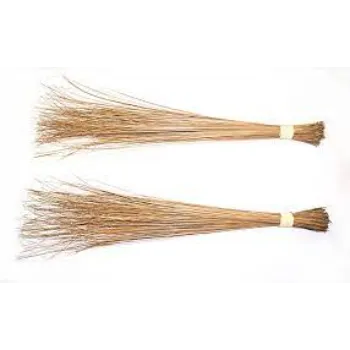 Colorfull Coconut Stick Broom