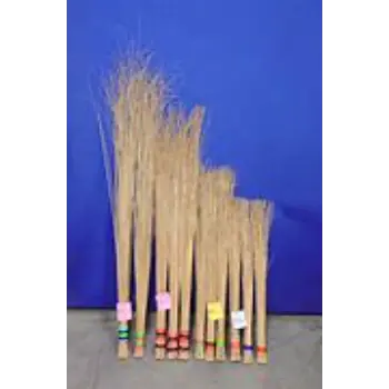 Coconut Stick Broom