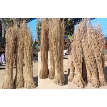 Kalyani Coconut Stick Broom