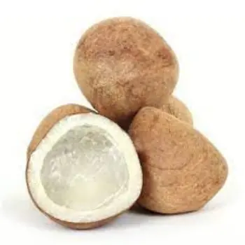 Natural Dried Coconut