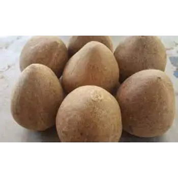 Natural Dried Coconut