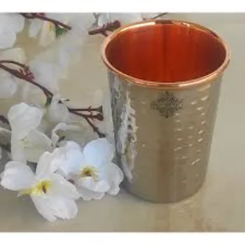Shivansh Copper Glass