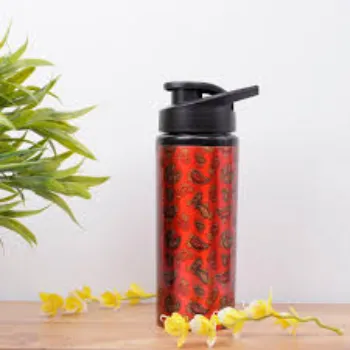Lbm Copper Sipper Bottle