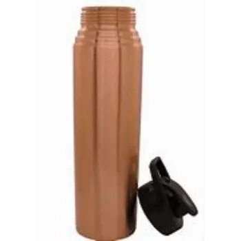 Motivational Copper Sipper Bottle