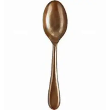  Copper Spoon