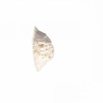 Coral Calcium